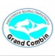 Grand Combin