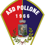 Pollone